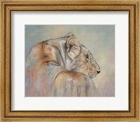 Framed Lioness Fade