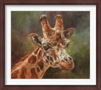 Framed Giraffe Portrait 2