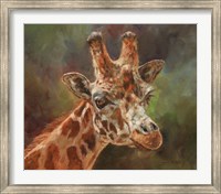 Framed Giraffe Portrait 2