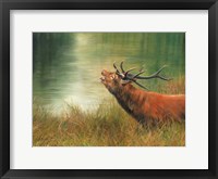 Framed Stag Call