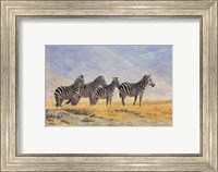 Framed Zebras Ngorongoro Crater