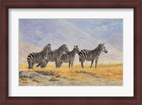 Framed Zebras Ngorongoro Crater