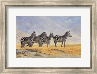 Framed Zebras Ngorongoro Crater