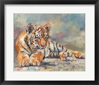Framed Tiger Cub Lounging