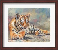 Framed Tiger Cub Lounging