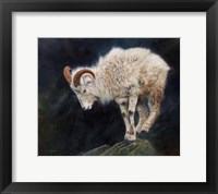 Framed Mountain Goat