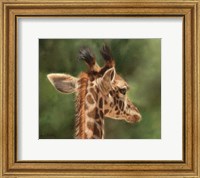 Framed Giraffe From Behind
