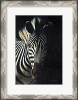 Framed Zebra Fade To Black