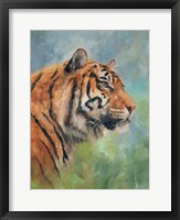 Framed Lucky Tiger