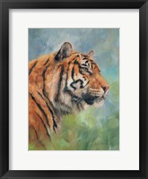 Framed Lucky Tiger