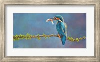 Framed Kingfisher 3