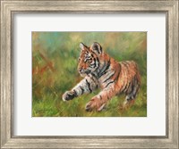 Framed Tiger Cub Running