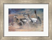 Framed Zebra Rockin And Rollin