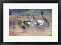 Framed Zebra Rockin And Rollin