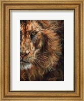 Framed Lion Half Face