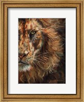 Framed Lion Half Face