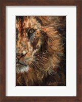 Framed Lion Half Face