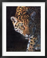 Framed Jaguar Portrait 2