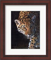 Framed Jaguar Portrait 2