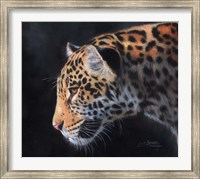 Framed Jaguar Portrait