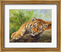 Framed Tiger Cub Rock