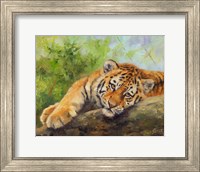 Framed Tiger Cub Rock