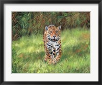 Framed Jaguar Front