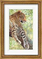 Framed Leopard Tree