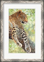 Framed Leopard Tree