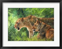 Framed Lionesses