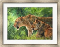 Framed Lionesses