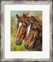 Framed Horses