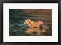 Framed Lioness Water