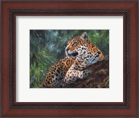 Framed Jaguar In Tree