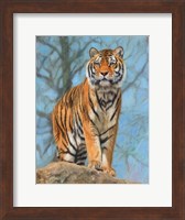 Framed Tiger Dart