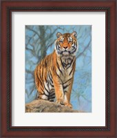 Framed Tiger Dart