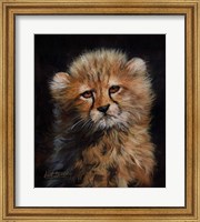 Framed Cheetah Cub