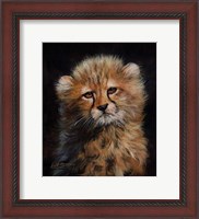 Framed Cheetah Cub