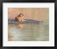 Framed Tiger Water Repose