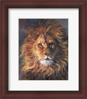 Framed Lion Portrait