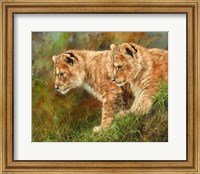 Framed Lion Siblings