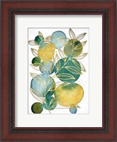 Framed Abstract Botanical 16