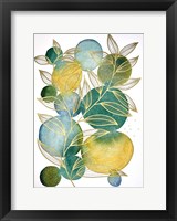 Framed Abstract Botanical 16