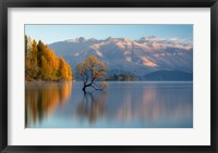 Framed Wanaka