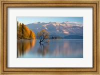 Framed Wanaka