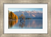 Framed Wanaka