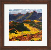 Framed Telluride Colorado
