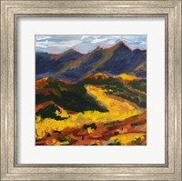 Framed Telluride Colorado