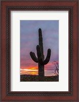 Framed Cactus 2