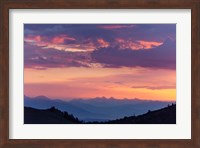 Framed Mammoth And Ancient Bristlecone
